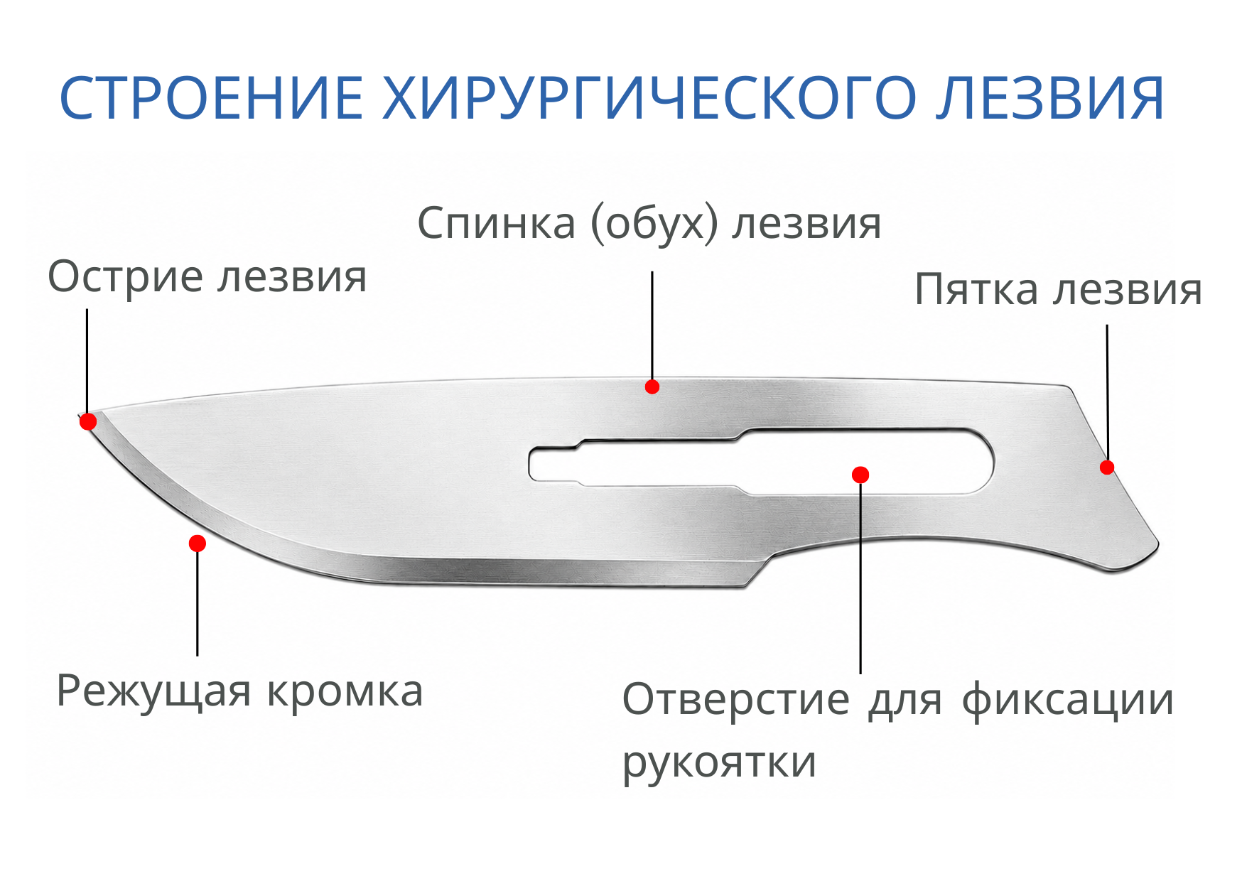 Строение хирургического лезвия