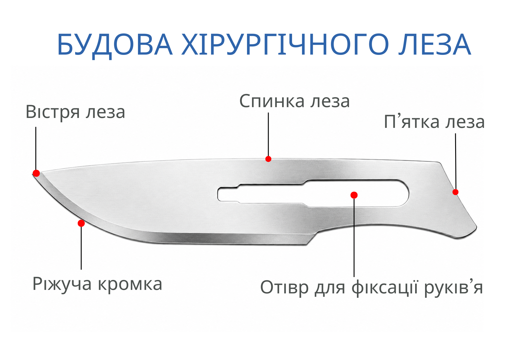 Будова хірургічного леза Будова хірургічного леза