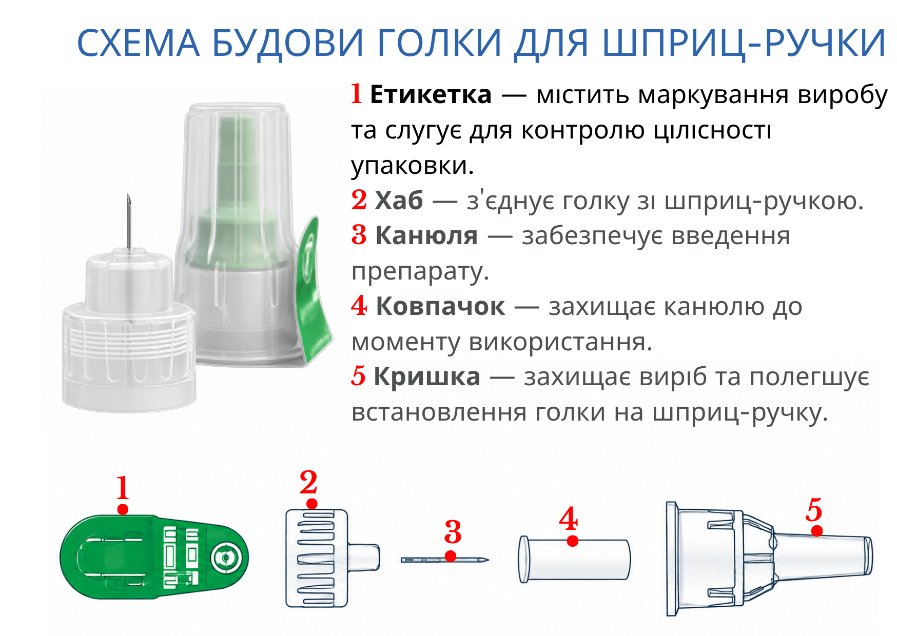 Будова голки для інсулінової шприц-ручки