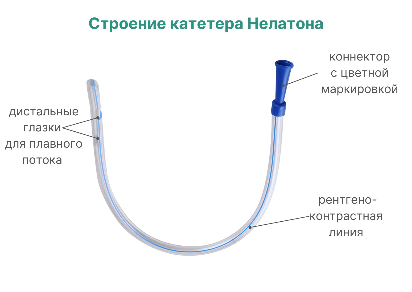 Строение катетера Нелатона