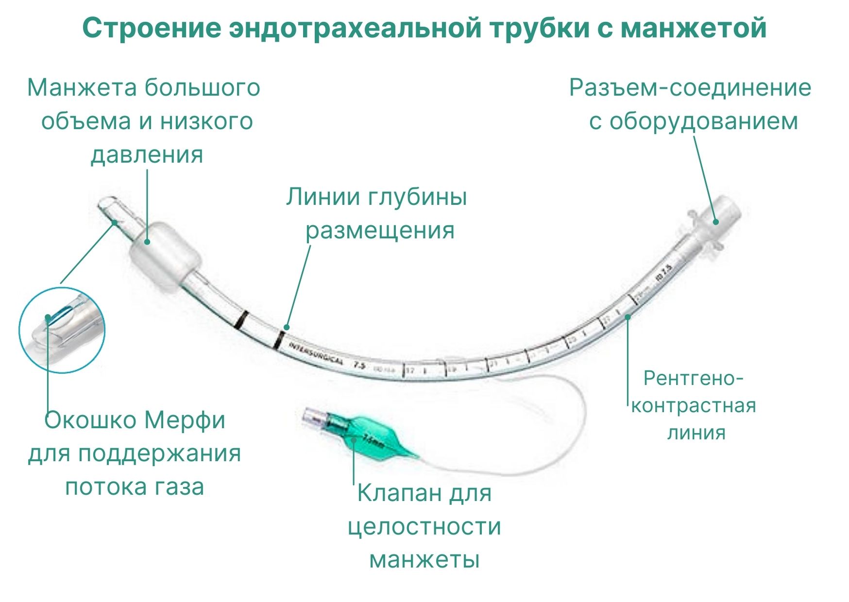 Строение интубационной эндотрахеальной трубки с манжетой